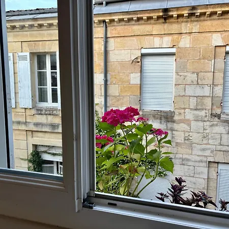 Bed & Breakfast Tang Home-bordeaux Hyper Centre