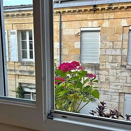 Nocleg ze śniadaniem Tang Home-bordeaux Hyper Centre 3*
