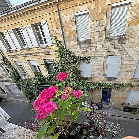 Tang Home-bordeaux Hyper Centre Nocleg ze śniadaniem 3*